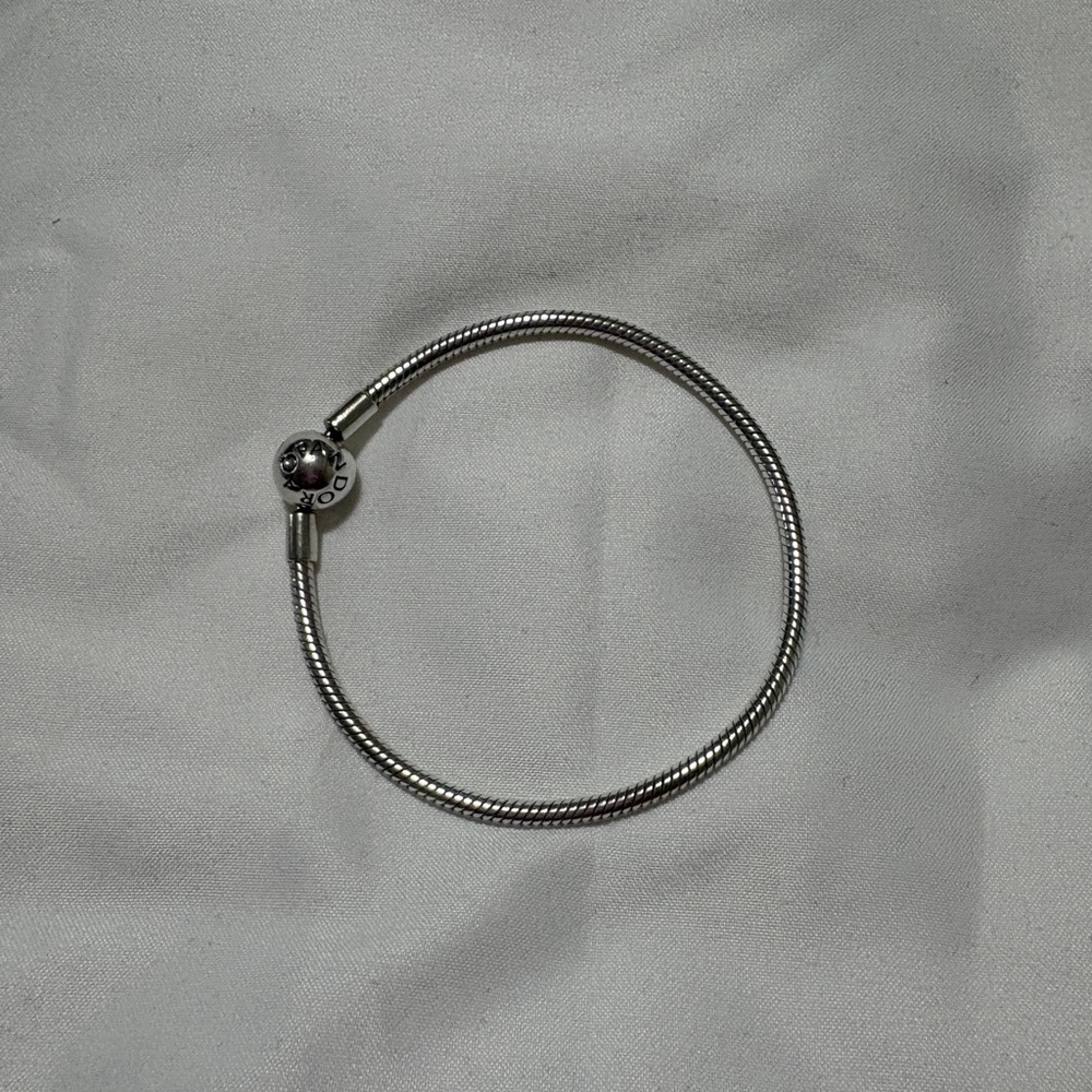 Pandora Moments snake chain bracelet